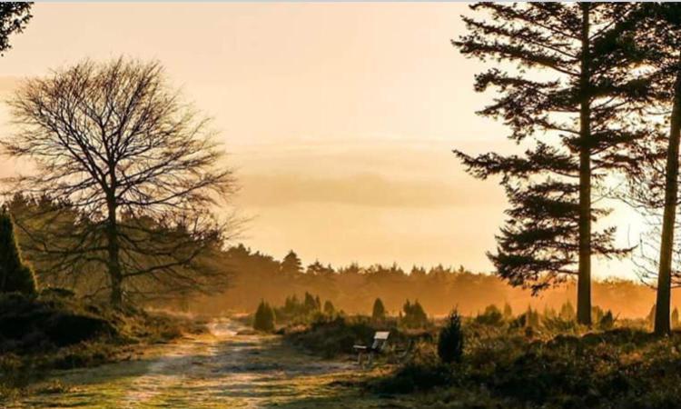 Luxe Natuurhuisje Met Jacuzzi En Haard In Drenthe, Echten إِختين المظهر الخارجي الصورة