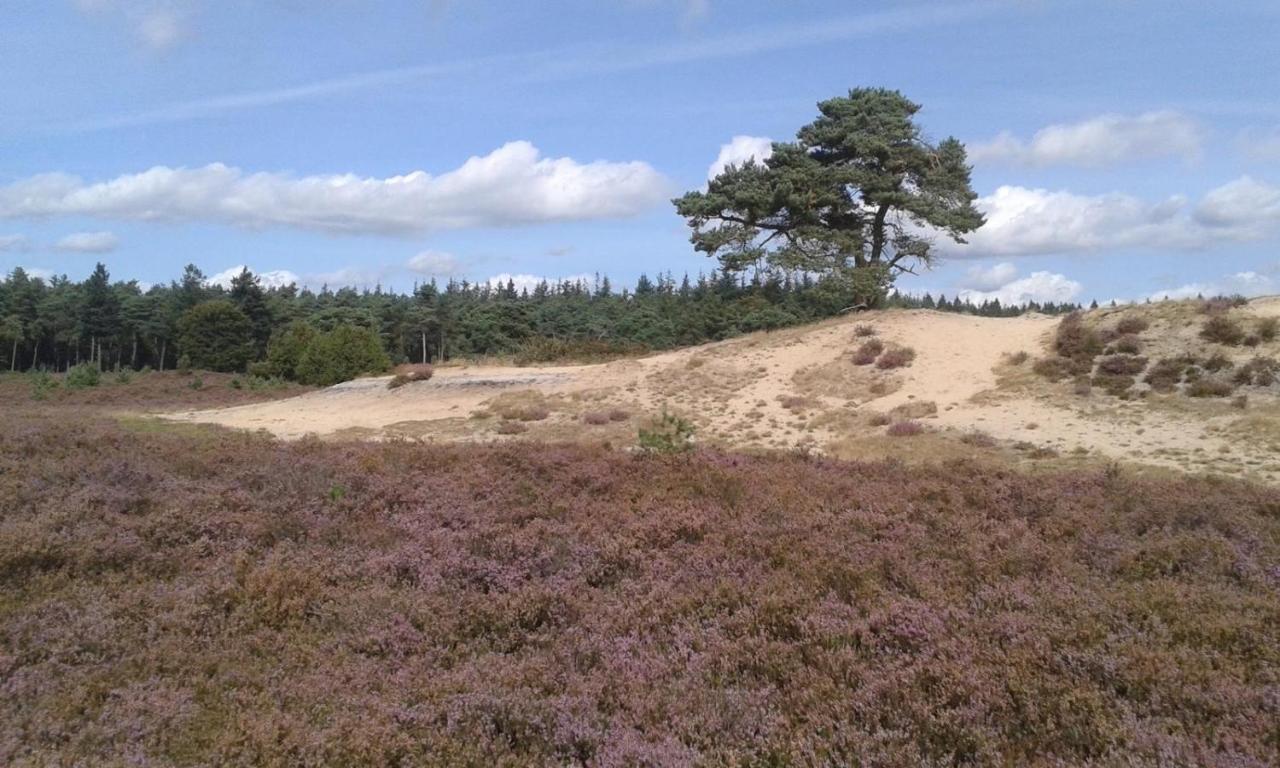 Luxe Natuurhuisje Met Jacuzzi En Haard In Drenthe, Echten إِختين المظهر الخارجي الصورة