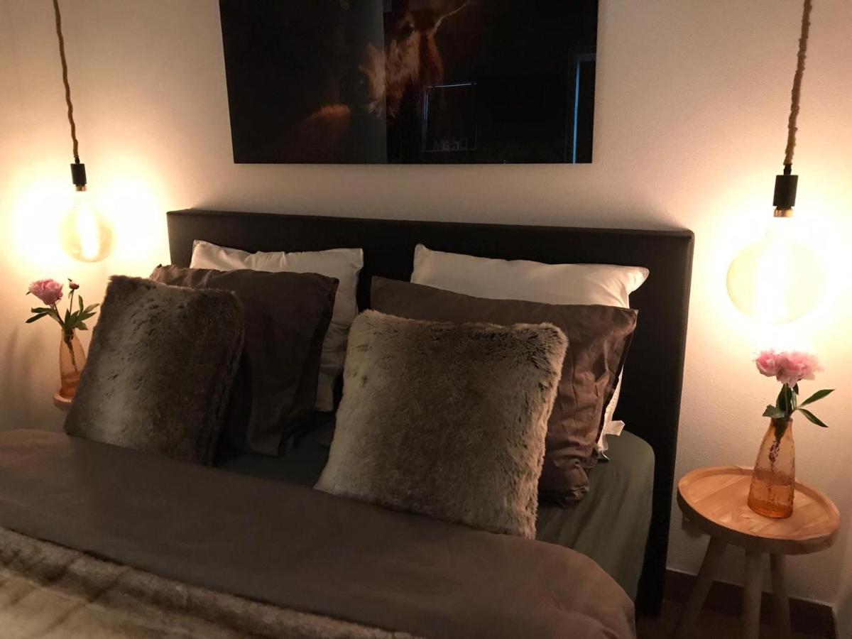 Luxe Natuurhuisje Met Jacuzzi En Haard In Drenthe, Echten إِختين المظهر الخارجي الصورة