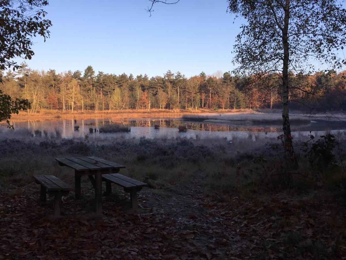 Luxe Natuurhuisje Met Jacuzzi En Haard In Drenthe, Echten إِختين المظهر الخارجي الصورة