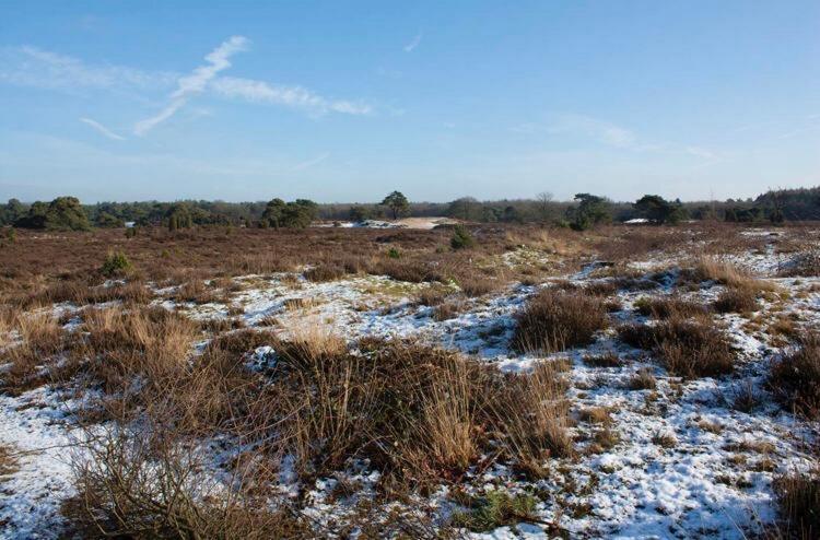 Luxe Natuurhuisje Met Jacuzzi En Haard In Drenthe, Echten إِختين المظهر الخارجي الصورة