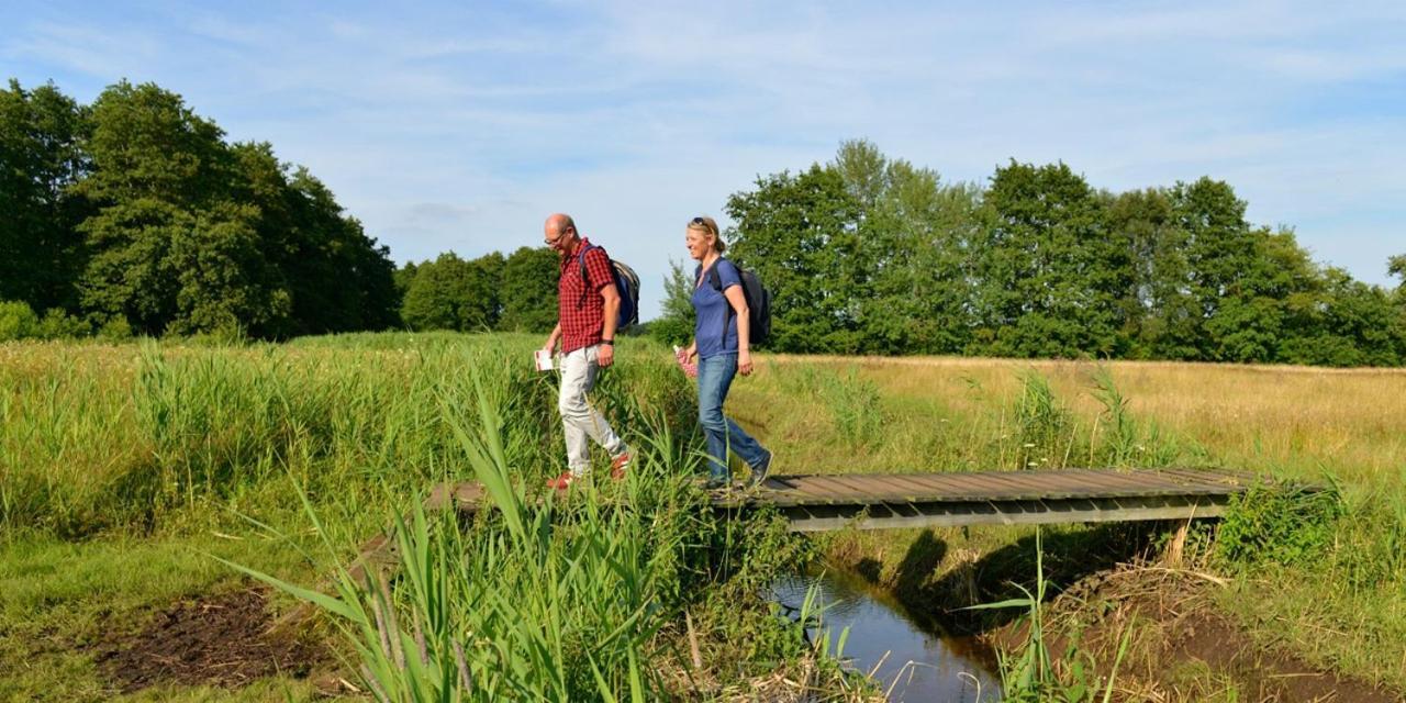 Luxe Natuurhuisje Met Jacuzzi En Haard In Drenthe, Echten إِختين المظهر الخارجي الصورة