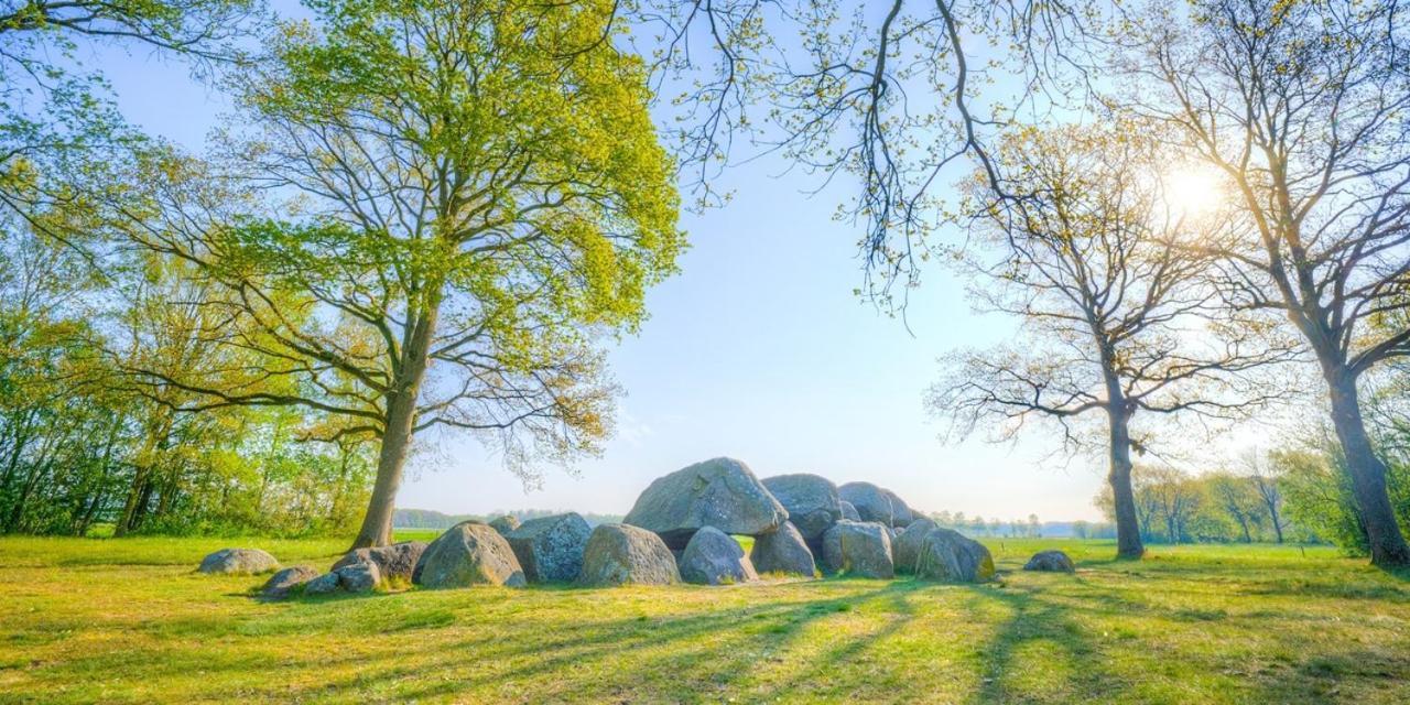 Luxe Natuurhuisje Met Jacuzzi En Haard In Drenthe, Echten إِختين المظهر الخارجي الصورة
