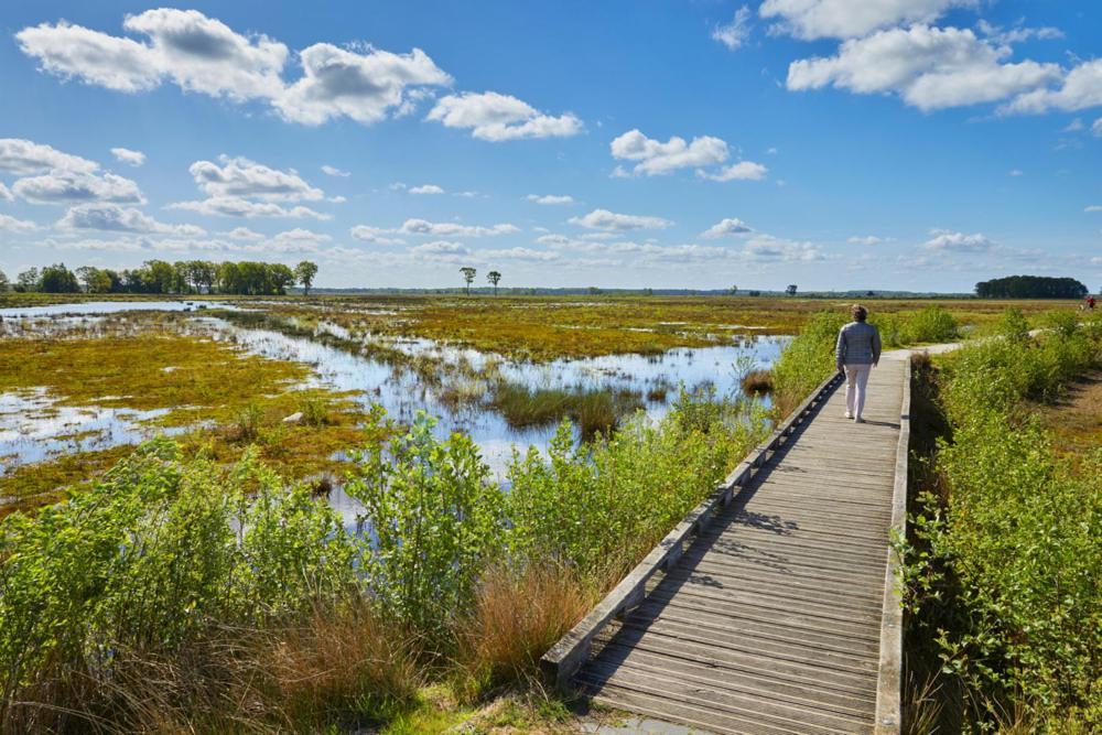 Luxe Natuurhuisje Met Jacuzzi En Haard In Drenthe, Echten إِختين المظهر الخارجي الصورة