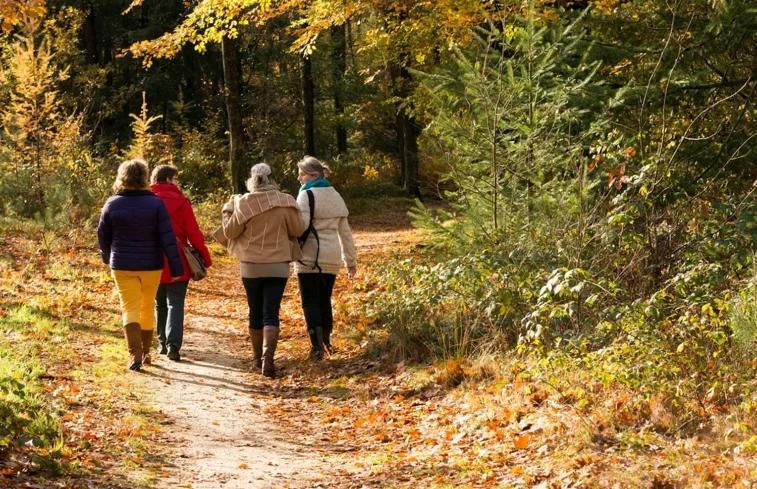 Luxe Natuurhuisje Met Jacuzzi En Haard In Drenthe, Echten إِختين المظهر الخارجي الصورة