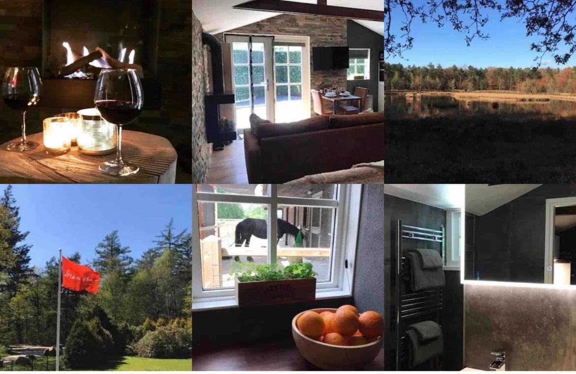 Luxe Natuurhuisje Met Jacuzzi En Haard In Drenthe, Echten إِختين المظهر الخارجي الصورة