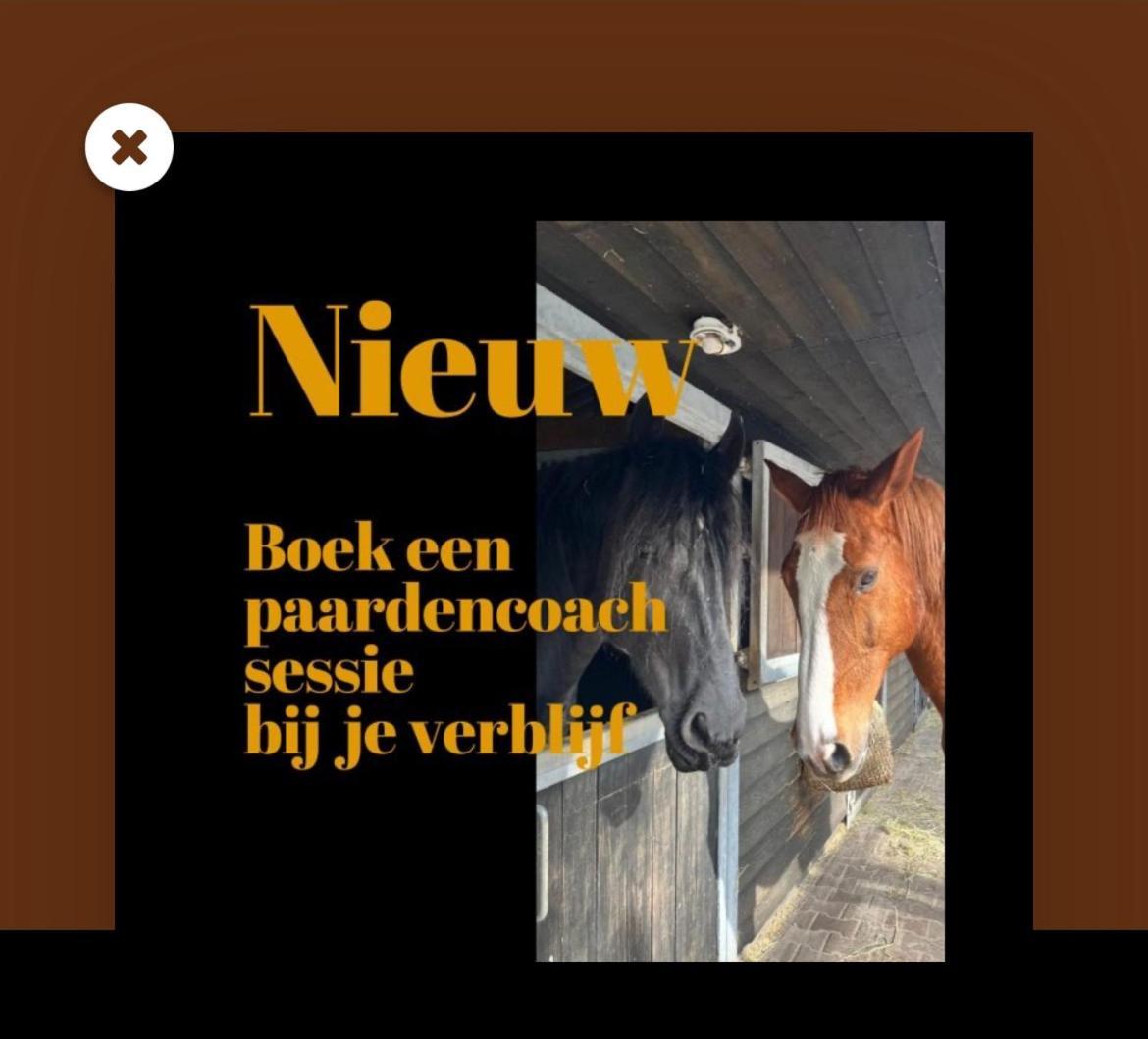 Luxe Natuurhuisje Met Jacuzzi En Haard In Drenthe, Echten إِختين المظهر الخارجي الصورة